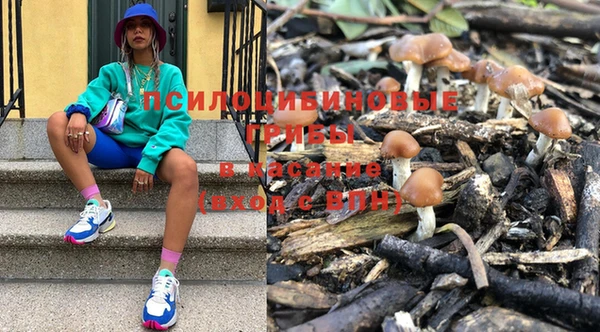 винт Алексин
