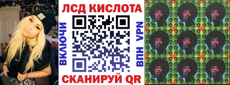 дарк нет наркотические препараты наркошоп Порхов Марки N-bome 1,5мг
