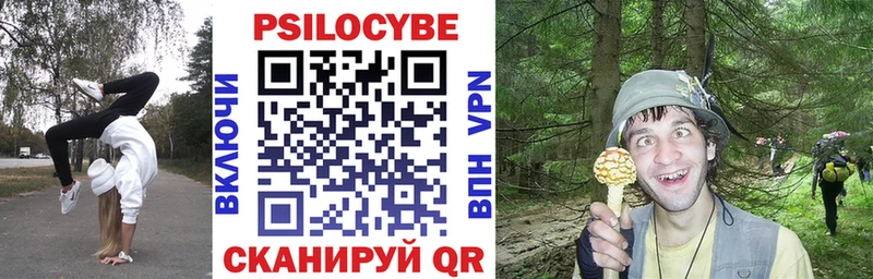 ОМГ ОМГ ссылка  Порхов  Галлюциногенные грибы ЛСД 