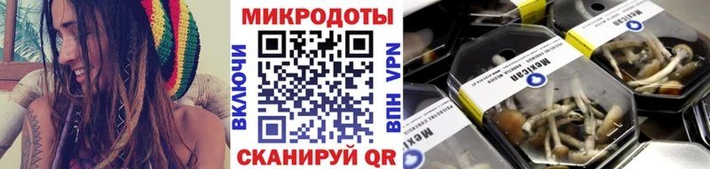 Псилоцибиновые грибы Cubensis Порхов